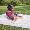 Shape Sorter