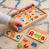 Alphabet matching set - tinyowlets
